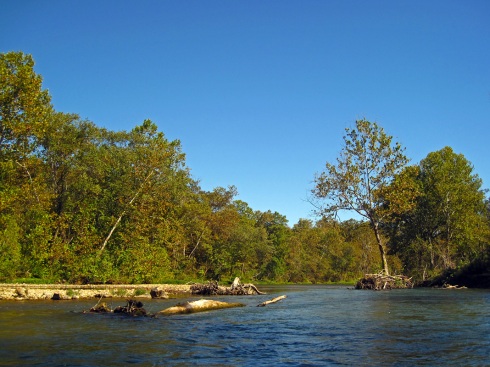 eleven point river
