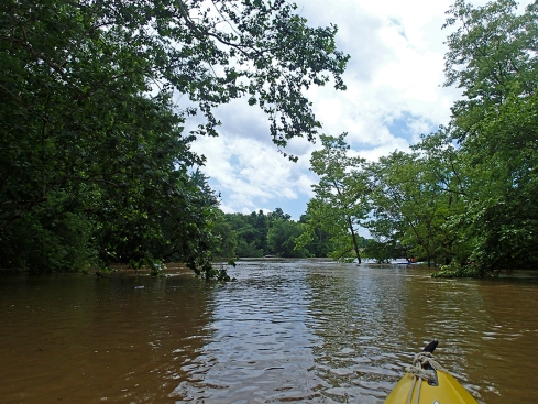 Confluence with the Gasconade